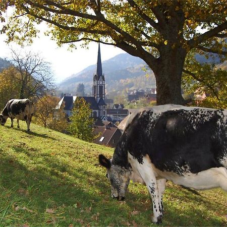 Petit week end dans la vallée Breitenbach-Haut-Rhin Buitenkant foto