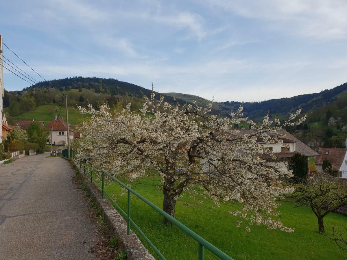 Petit week end dans la vallée Breitenbach-Haut-Rhin Buitenkant foto