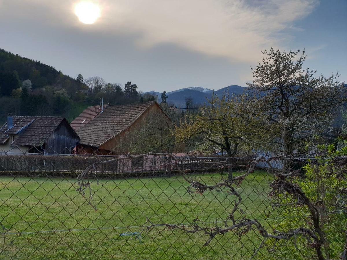 Petit week end dans la vallée Breitenbach-Haut-Rhin Buitenkant foto